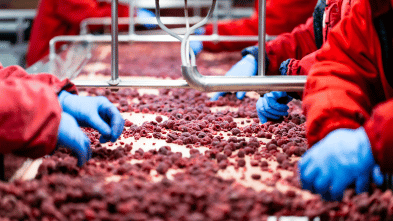 Industrias Alimentarias